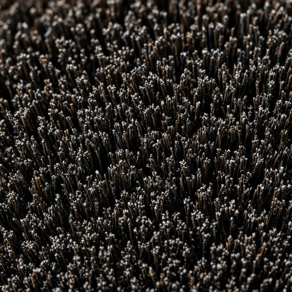 Boar Bristle Brush — close-up