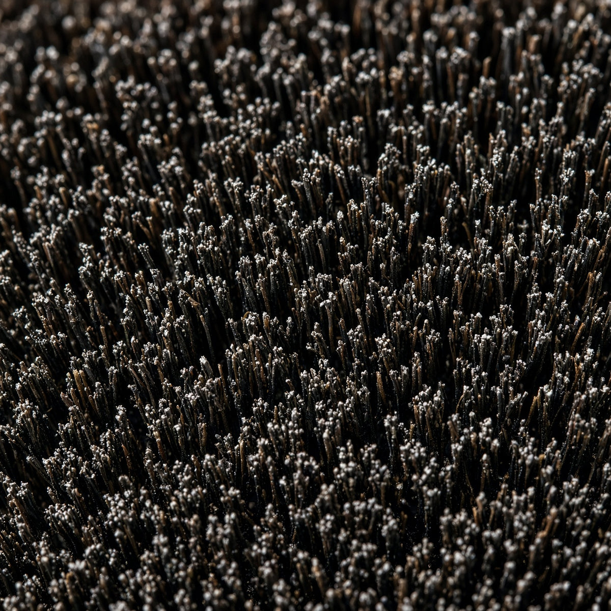 Boar Bristle Brush — close-up
